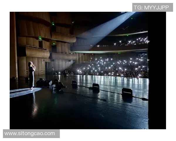 王岚的音乐之旅：从新星崛起到华语乐坛的璀璨明珠